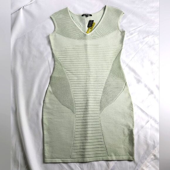 Gianni Bini  - Light Mint Green Bodycon Dress Gianni Bini Fitted Size S NWT - Picture 1 of 8